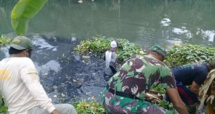 Giat Bersih Sungai Cikarang Hilir Oleh Sektor 20 Citarum Harum Subsektor 8 Koramil 10 Sukatani