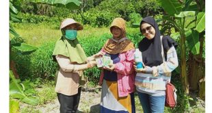 HKTI Perempuan hadir di Kabupaten Natuna Konsisten Memperhatikan Nasib Perempuan Tan