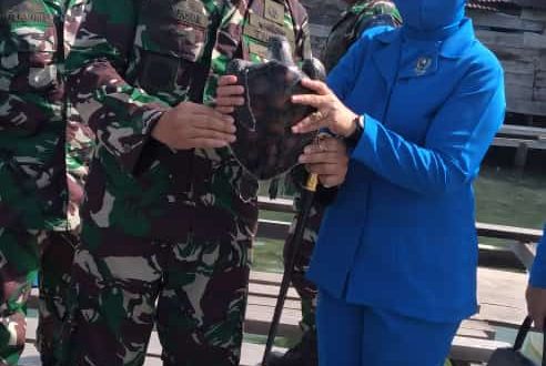 TNI AL Dukung Pelestarian Satwa Laut Dengan Melepas Tukik di Pantai Teluk Nibung Simeulue