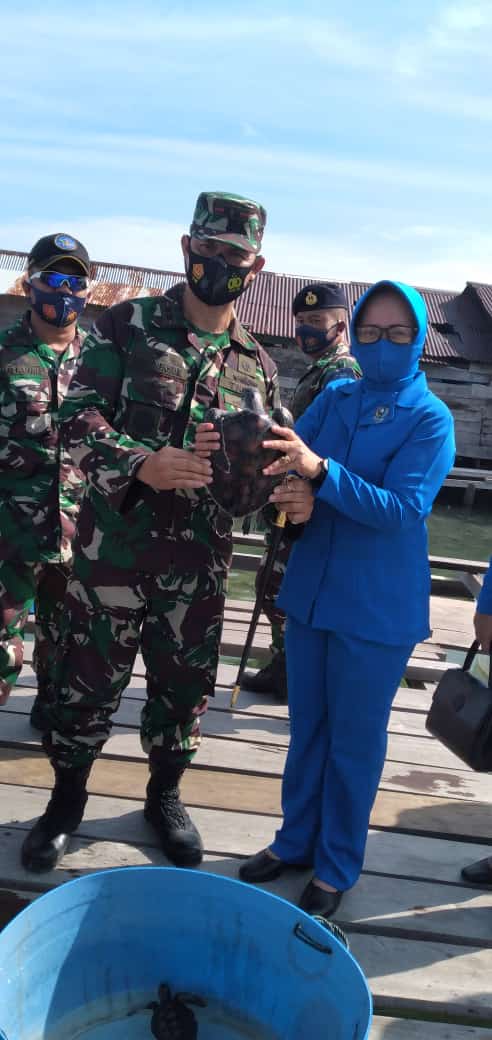 TNI AL Dukung Pelestarian Satwa Laut Dengan Melepas Tukik di Pantai Teluk Nibung Simeulue