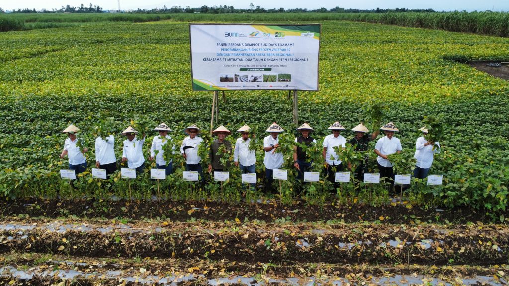 PT Mitratani Dua Tujuh sukses melaksanakan panen perdana edamame Jumat, 25 Oktober 2024 di Kebun Sei Semayang, Kabupaten Deli Serdang, Sumatra Utara.